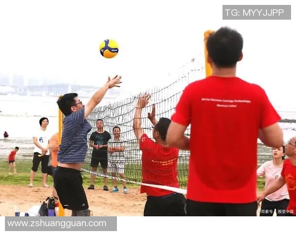 杭州排球队的速度之道:聚焦训练与比赛中的快速反应与配合技巧